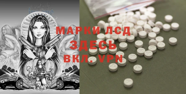 ГАЛЛЮЦИНОГЕННЫЕ ГРИБЫ Елабуга