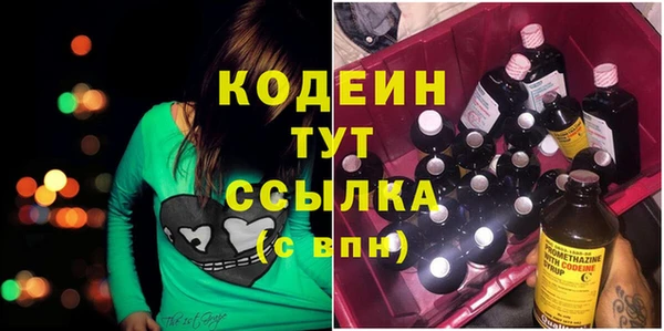 ГАЛЛЮЦИНОГЕННЫЕ ГРИБЫ Елабуга