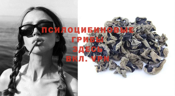 синтетический гашиш Ельня