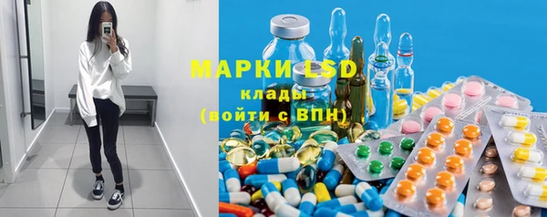 ГАЛЛЮЦИНОГЕННЫЕ ГРИБЫ Елабуга