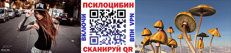 Галлюциногенные грибы мицелий  Купить где  Кировск 